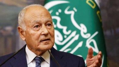 أبو الغيط يدين الاعتداءات الإسرائيلية على سوريا: إرهاب تمارسه إسرائيل
