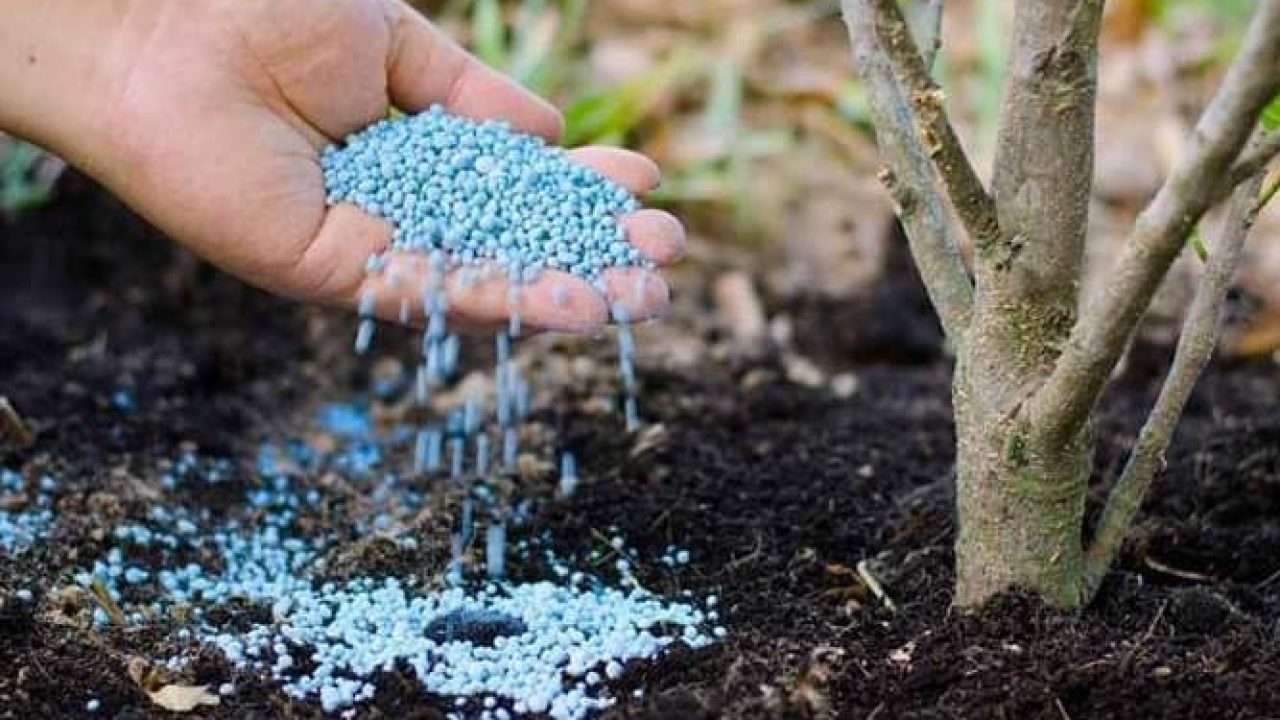 أسعار الأسمدة اليوم الاثنين 22 يونيو 2026 في الأسواق.. آخر تحديث