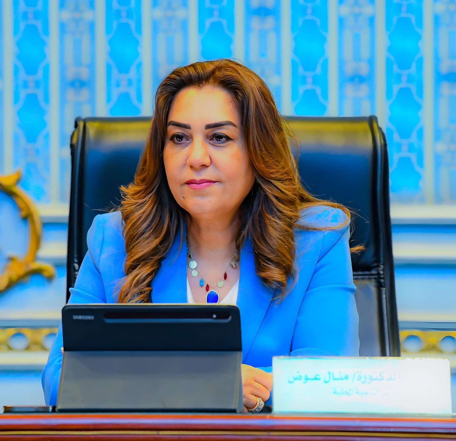 التنمية المحلية تنزع ملكية عقارات وأراضي بالقاهرة للمنفعة العامة