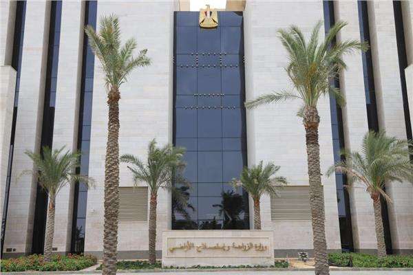 الزراعة: اكتفاء ذاتي كامل من الدواجن والبيض والأرز.. وصادرات قياسية بـ9.5 مليون طن