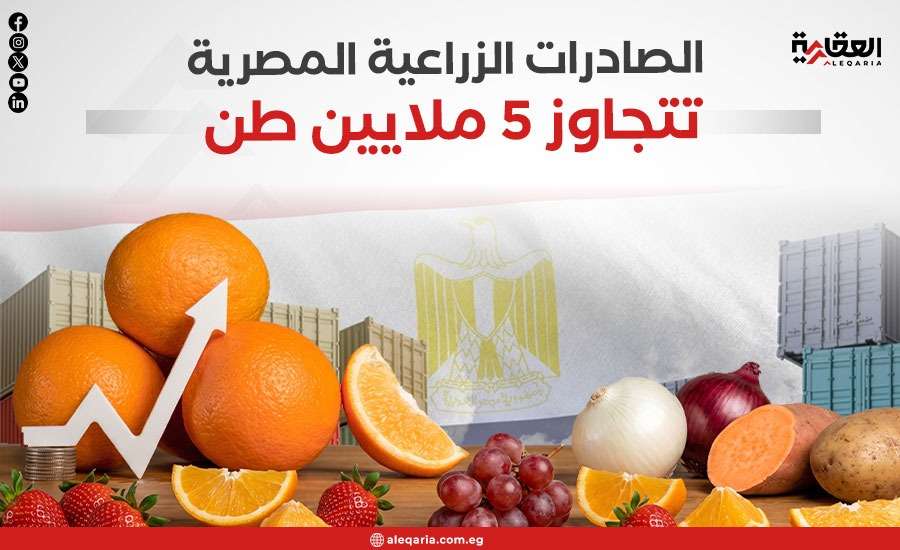 الصادرات الزراعية المصرية تتجاوز 5 ملايين طن