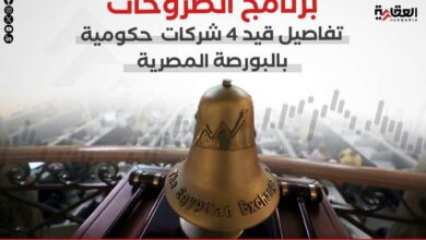 برنامج الطروحات.. تفاصيل قيد 4 شركات حكومية بالبورصة المصرية «إنفو»