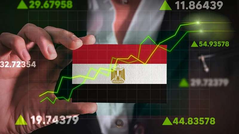 خبير: الإصدار الثاني من وثيقة ملكية الدولة يعزز مرونة الاقتصاد ويقود نحو دور أكبر للقطاع الخاص