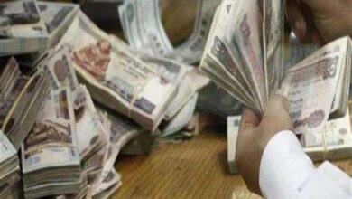 زيادة 750 جنيها.. مفاجأة سارة تنتظر الموظفين بشأن العلاوة الدورية خلال أيام
