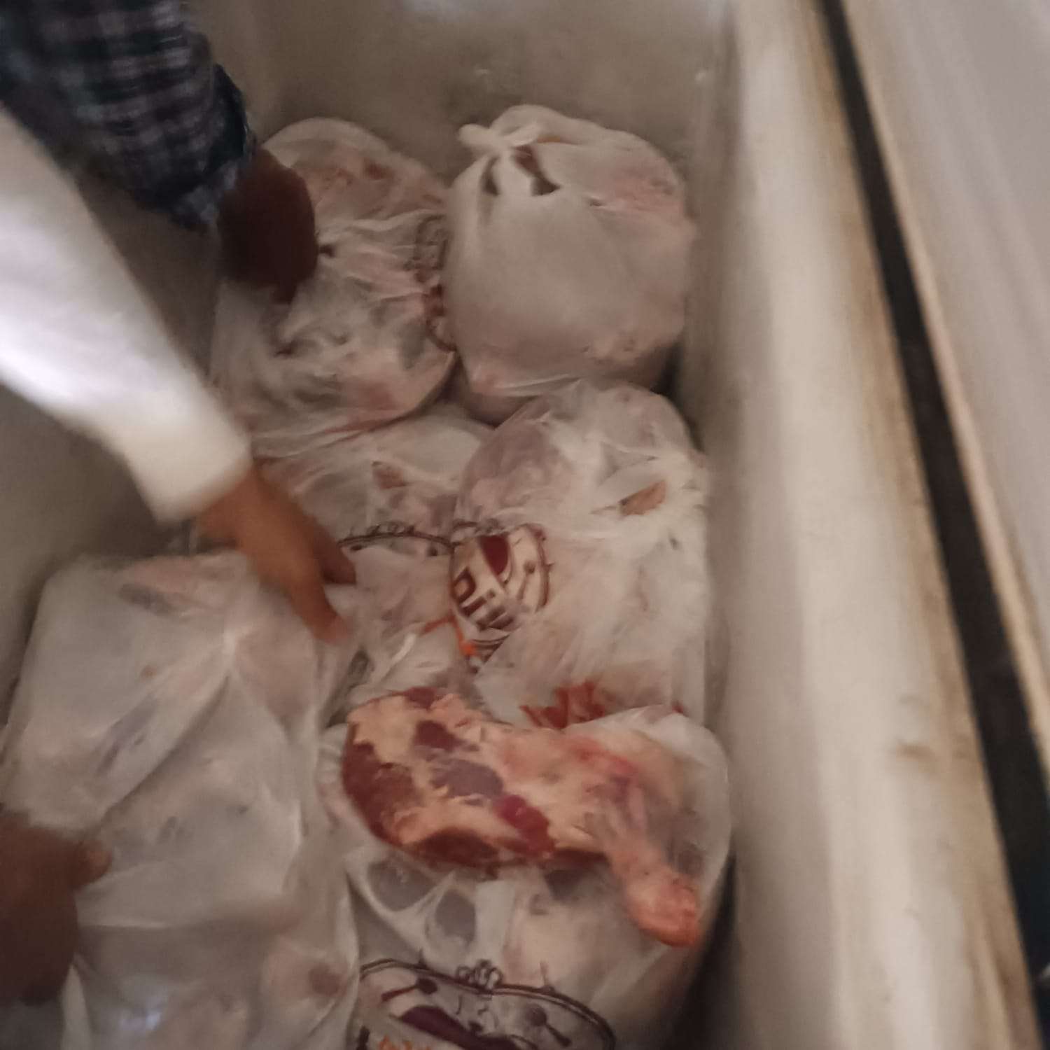 ضبط طن ونصف أسماك فاسدة وكميات من اللحوم والدواجن مجهولة المصدر