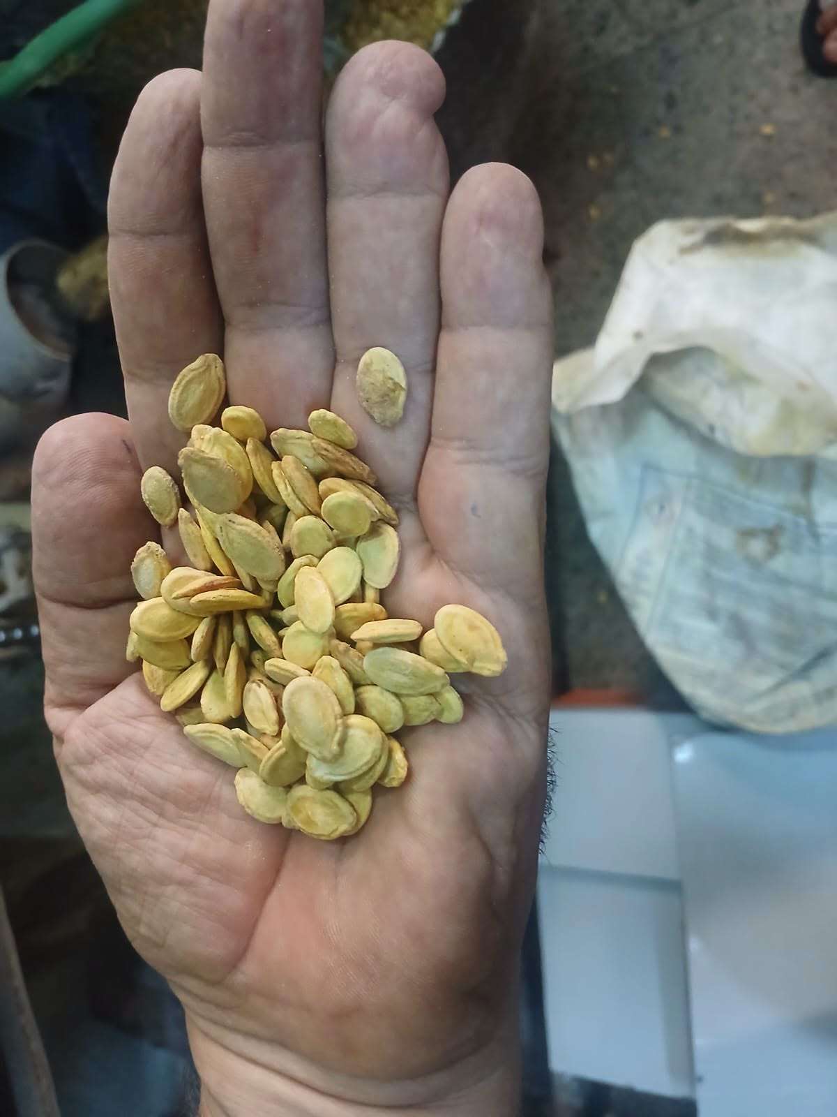 ضبط مواد محظور استخدامها لتلوين وتحميص اللب بأسيوط