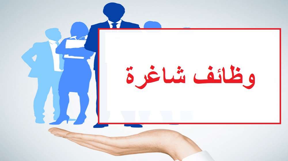 عاجل.. التعليم تعلن وظائف خالية في مدارس IPS | رابط التقديم