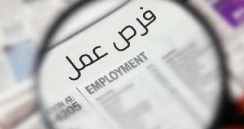 فرص عمل بالجملة.. الجيزة تعلن عن 2500 وظيفة جديدة