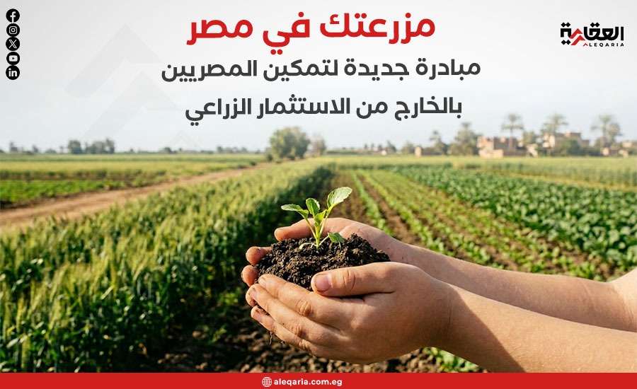 مزرعتك في مصر.. مبادرة جديدة لتمكين المصريين بالخارج من الاستثمار الزراعي