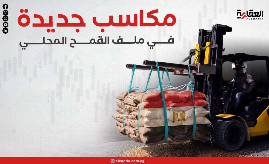 مكاسب جديدة في ملف القمح المحلي