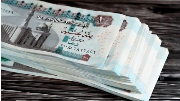 موعد تطبيق الزيادة السنوية للمعاشات 2026 وقواعد صرف معاشات يوليو