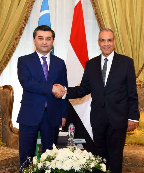 وزير الخارجية يقود جلسة مباحثات موسعة بين مصر وأوزبكستان