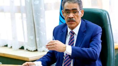 وزير الدولة للإعلام ينفي إصدار قرارات بتعيين مستشارين