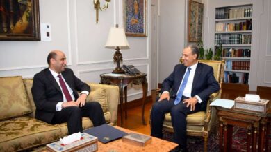 وزيرا الخارجية والعمل يبحثان تعزيز التعاون فى ملف العمالة المصرية بالخارج