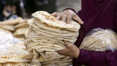 5 أيام ويبدأ التطبيق.. زياد سعر رغيف الخبز المدعم لجنيه ونصف وتقليل العدد لـ4 للفرد الواحد | ما القصة؟