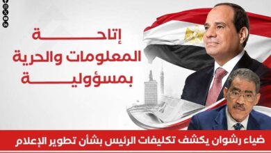 إتاحة المعلومات والحرية بمسؤولية.. ضياء رشوان يكشف تكليفات الرئيس بشأن تطوير الإعلام