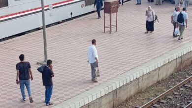 إصابة 14 راكبا إثر خروج عربة قطار عن القضبان في الغربية.. صور