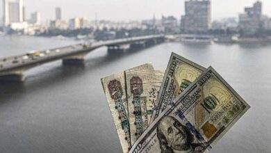 استقرار سعر الجنيه أمام الدولار اليوم الإثنين.. و«جولدمان ساكس» يتوقع هبوط العملة الأمريكية إلى 46 جنيهًا