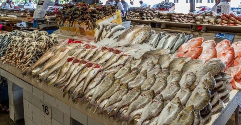 البلطي بـ64 جنيهًا والجمبري بـ800 جنيه.. أسعار الأسماك والمأكولات البحرية اليوم الإثنين