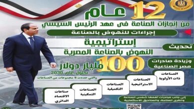 الرئيس السيسي و12 عام من الانجازات فى قطاع الصناعة