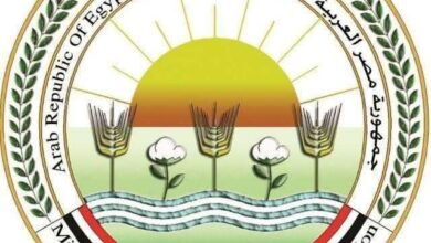 الزراعة: تحصين أكثر من مليون طائر وتعزيز برامج التقصي الوبائي لحماية الثروة الداجنة خلال يونيو