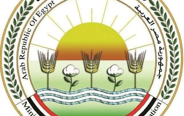 الزراعة: تحصين أكثر من مليون طائر وتعزيز برامج التقصي الوبائي لحماية الثروة الداجنة خلال يونيو