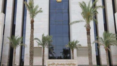 الزراعة: تسجيل 5 أصناف جديدة بأيادٍ مصرية لتعزيز الإنتاجية ودعم الأمن الغذائي