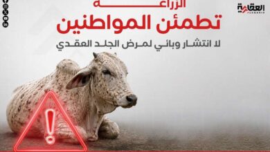 الزراعة تطمئن المواطنين: لا انتشار وبائي لمرض الجلد العقدي