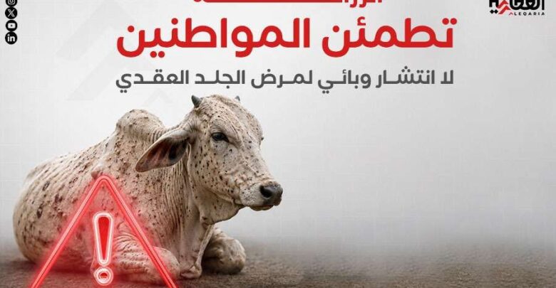 الزراعة تطمئن المواطنين: لا انتشار وبائي لمرض الجلد العقدي