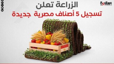 الزراعة تعلن تسجيل 5 أصناف مصرية جديدة