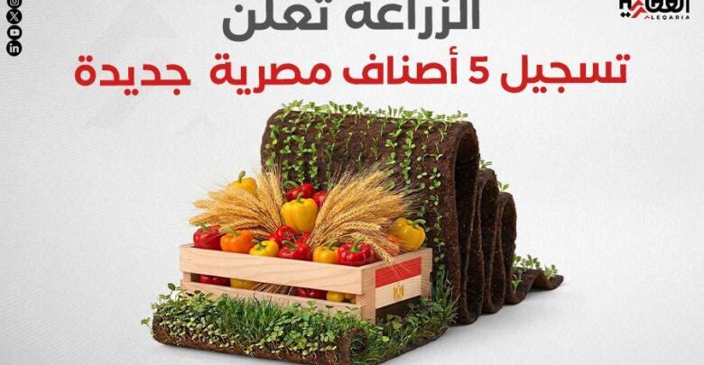 الزراعة تعلن تسجيل 5 أصناف مصرية جديدة