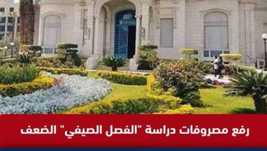 الشائعات في مصر ترتفع 113%.. الاقتصاد والطاقة الأكثر استهدافًا خلال 2026