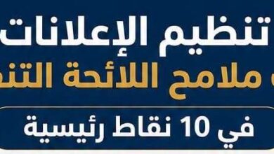 القومي لتنظيم الإعلانات يكشف أبرز ملامح اللائحة التنفيذية لقانون تنظيم الإعلانات