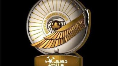 الكشف عن أول نادي يشارك في الدوري المصري الممتاز بعد الدمج