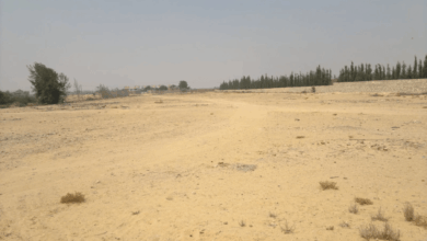 المتر بـ2000 جنيه فقط.. الإسكان تطرح قطع أراضي جديدة للمواطنين «التقديم ينتهي خلال أيام»