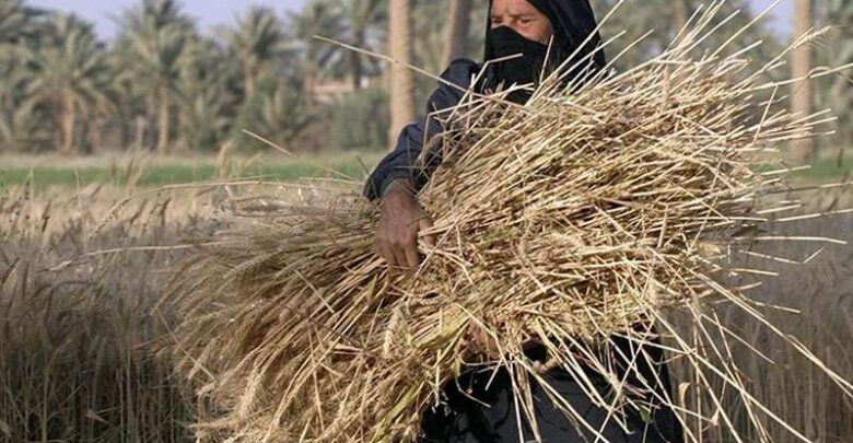 المرأة في قلب التنمية.. ثورة 30 يونيو تقود مسيرة التمكين الاقتصادي وبناء الجمهورية الجديدة