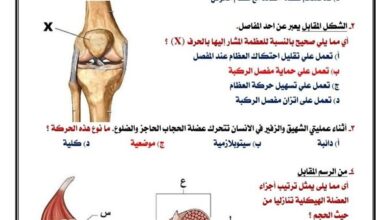 بالاجابات النموذج الاسترشادي الثالث في الأحياء لطلاب الثانوية العامة