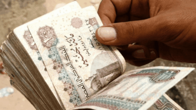 بدءًا من 20 يوليو.. صرف مرتبات العاملين بالدولة بالزيادة الجديدة