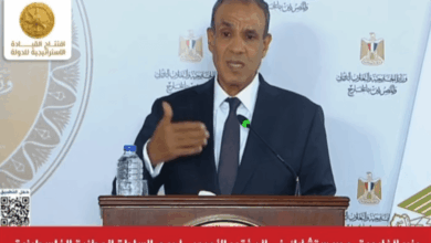 بدر عبد العاطي: مصر تشارك في المؤتمر الأوروبي لدعم السلطة الفلسطينية