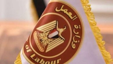 براتب شهري 13 ألف جنيه.. وزارة العمل تعلن وظائف متاحة للشباب «التقديم عبر الواتساب»