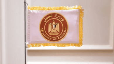 برواتب 11 ألف جنيه شهريا.. وزارة العمل تعلن وظائف جديدة للشباب «اعرف طريقة التقديم»