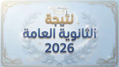 بـ 60 جنيها أو مجانا.. إتاحة رابط نتيجة الثانوية العامة 2026 بالإسم فقط بدون رقم الجلوس | ما القصة؟