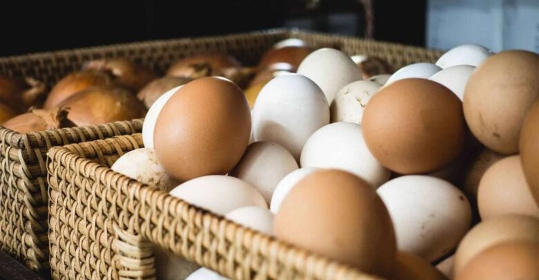 تراجع ملحوظ في أسعار البيض الأبيض والأحمر بالأسواق.. والبلدي يواصل الارتفاع