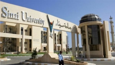 جامعة سيناء تعلن حاجتها إلى أعضاء هيئة التدريس من مدرس مساعد ومعيد.. وظيفة جامعة