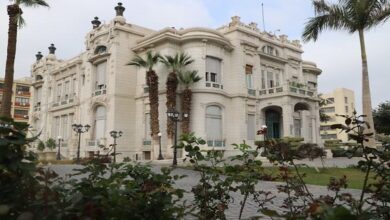 جامعة عين شمس تطلق STEP Up لتأهيل الخريجين بوظائف المستقبل