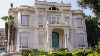 جامعة عين شمس تفتح باب التقديم لشهادات هارفارد المتخصصة 2026