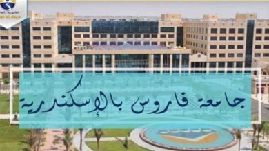 جامعة فاروس تعلن حاجتها إلى أعضاء هيئة التدريس.. وظيفة جامعة