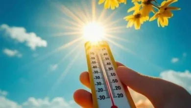 حالة الطقس غدا.. رياح مفاجئة وحرارة تصل إلى 44 درجة