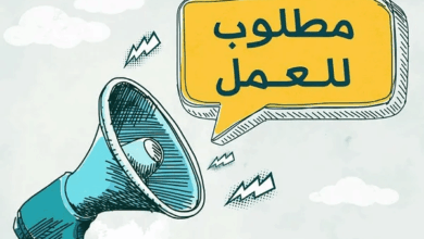 حتى 10 آلاف جنيه شهريًا.. تفاصيل أحدث وظائف وزارة العمل للشباب