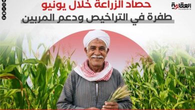 حصاد الزراعة خلال يونيو.. طفرة في التراخيص ودعم المربين